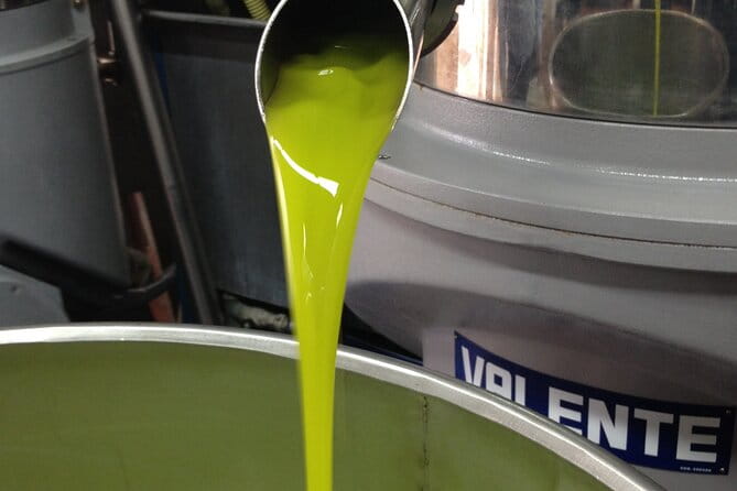 Olive Oil Private Full-Day Tour with Tasting in Valencia - Key Points / Takeaways