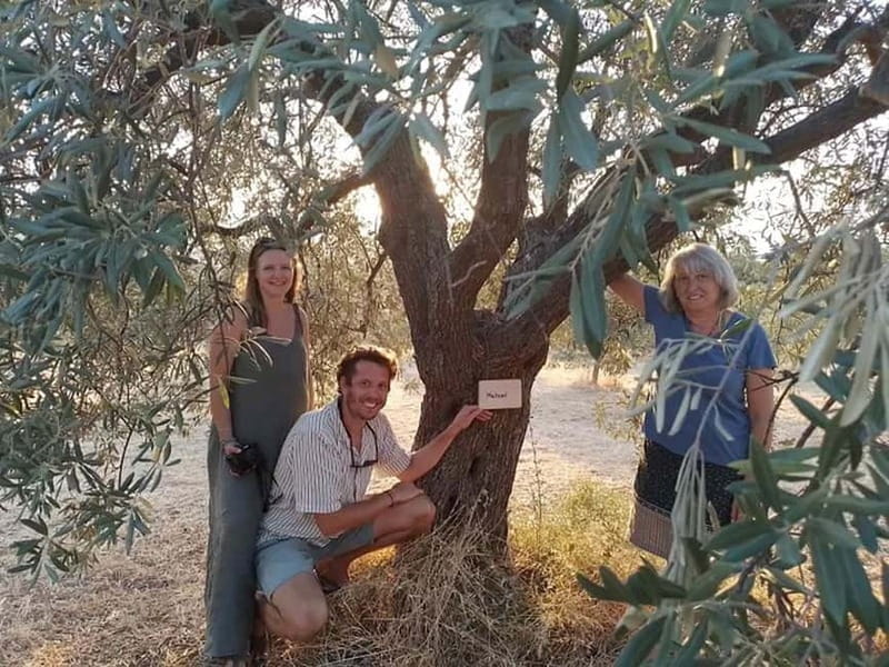 Olive Oil Seminar with Tasting in Metaggitsi - Halkidiki. - Key Points / Takeaways