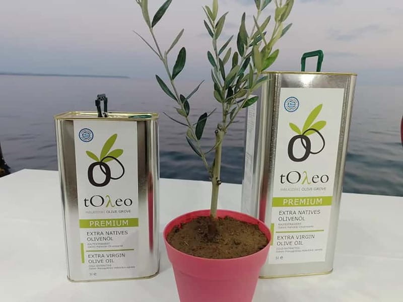 Olive Oil Seminar with Tasting in Metaggitsi - Halkidiki. - The Unique Local Olive Varieties