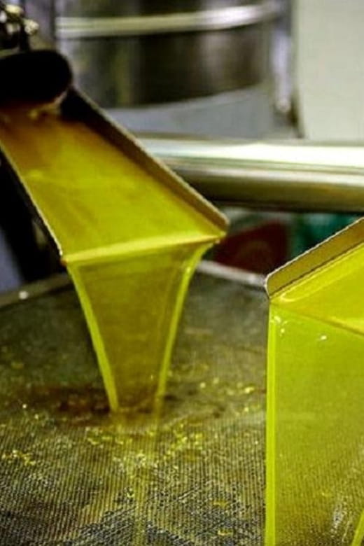 Olive oil Tasting 3-hour Trip from Chania Souda Cruise Port - Final Thoughts: Is the Olive Oil Tasting Tour Worth It?