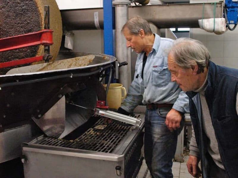 Olive Oil Tasting and Visit at Lake Como - Why This Olive Oil Visit Is Worth It