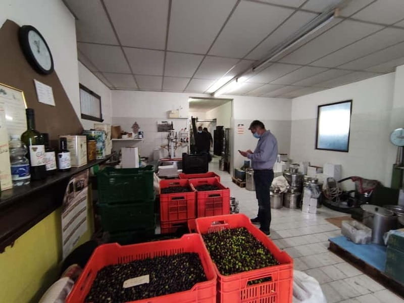 Olive Oil Tasting and Visit at Lake Como - FAQ About the Olive Oil Tasting and Visit