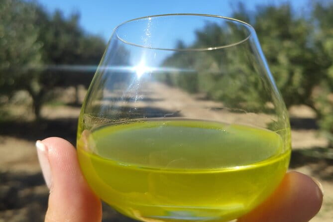 Olive Oil Tasting at the Mykonian Farm - Final Thoughts