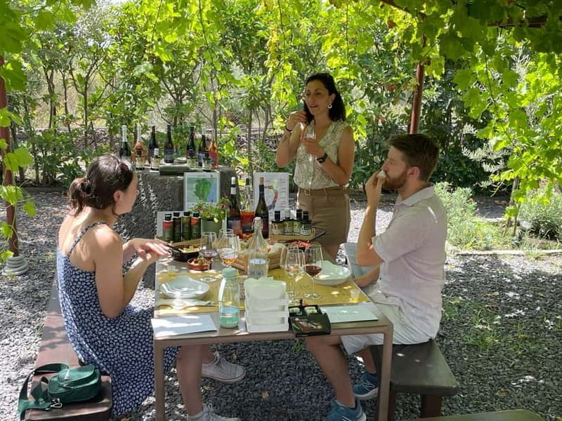 Olive Oil Tasting Experience in Nicolosi - Discovering Sicily’s Olive Oil in Nicolosi: A Genuine Tasting Experience