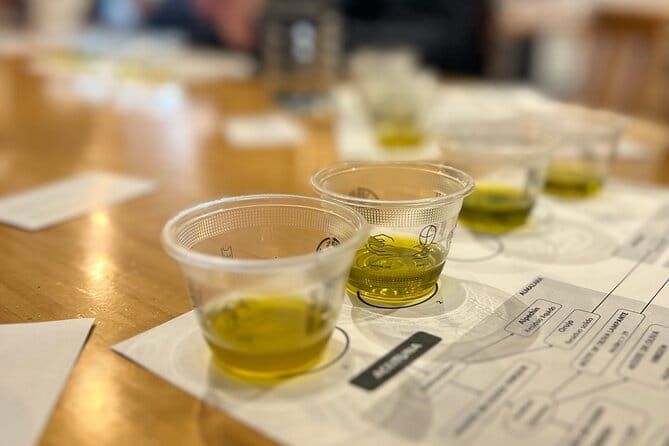 Olive Oil Tasting Experience in Sevilla - A Detailed Look at the Olive Oil Tasting Experience in Seville