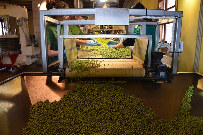 Olive Oil Tasting Tour - Olive Farming and Production