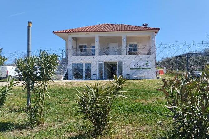 Olive oil tasting with seminar in Metagitsi - Halkidiki - Key points / Takeaways