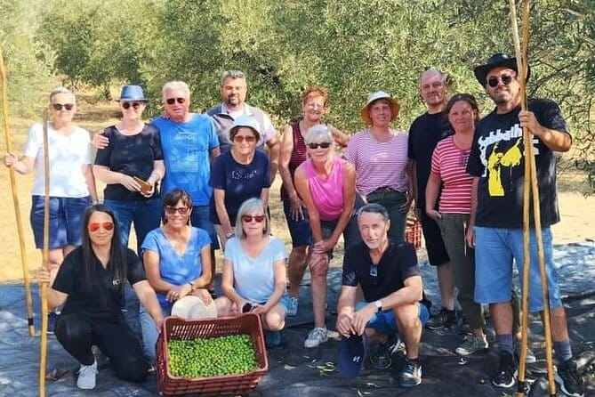 Olive oil tasting with seminar in Metagitsi - Halkidiki - The Tasting Experience and Snacks