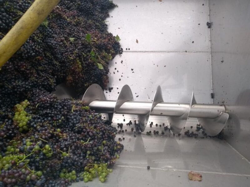 Olive Oil & Wine in the Euganean Hills From Terme - Key points / Takeaways