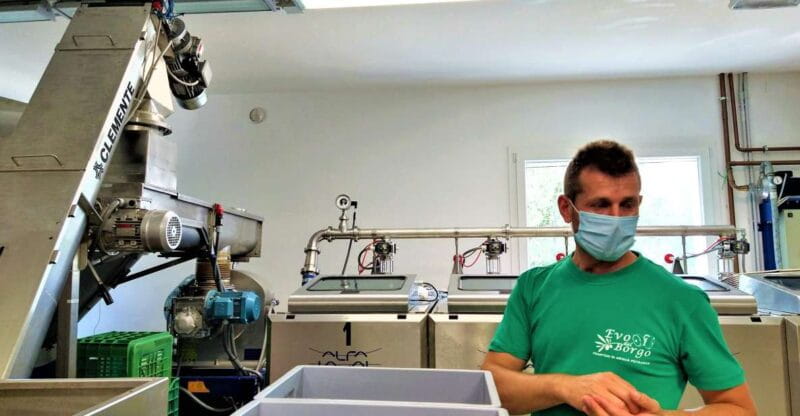 Olive Oil & Wine in the Euganean Hills From Terme - Exploring the Euganean Hills: A Closer Look at the Tour