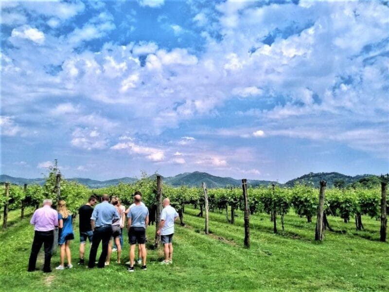 Olive Oil & Wine in the Euganean Hills From Terme - Practical Tips for Your Visit