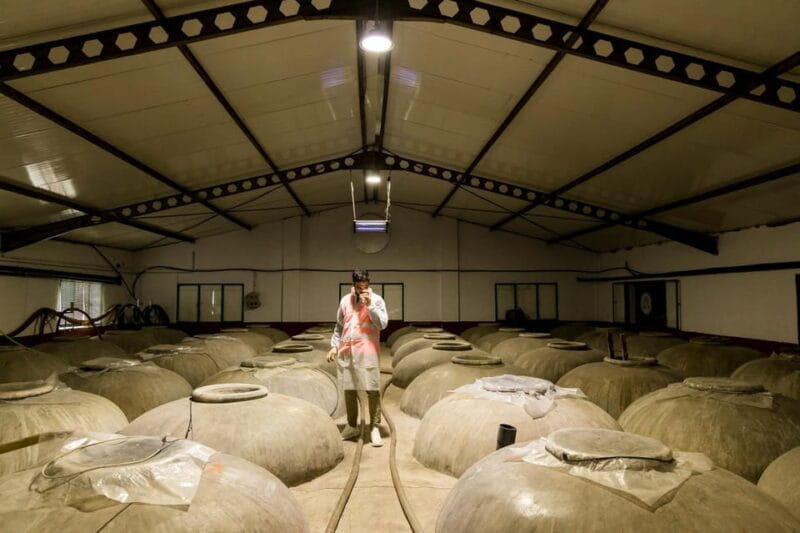 OLIVE OIL & WINE TOUR Organic fields - 5 Wines + 3Olive Oils - Authenticity in the Heart of Malaga’s Countryside