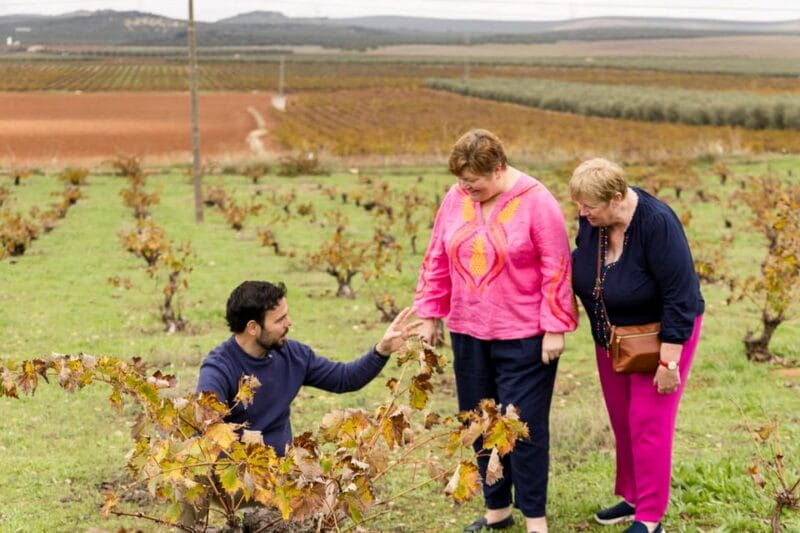 OLIVE OIL & WINE TOUR Organic fields - 5 Wines + 3Olive Oils - The Cooperative Tour: Seeing the Process Up Close