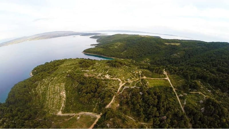 olta Island: Self-Guided Bike Tour - Ferry Logistics and Timing: Planning for a Smooth Trip