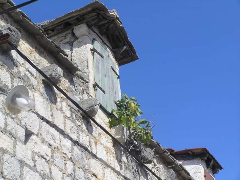 olta Island: Self-Guided Bike Tour - Price and Value Analysis