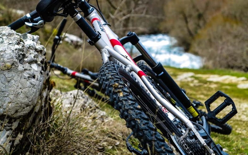 olta Island: Self-Guided Bike Tour - Authentic Experiences and Unique Highlights