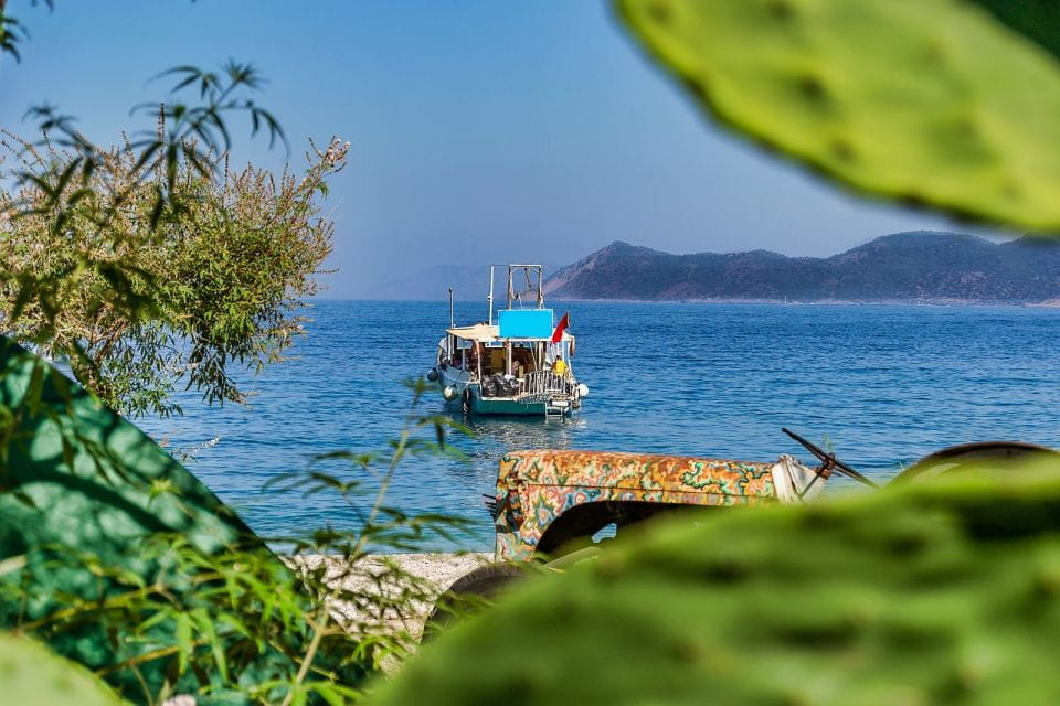 Oludeniz: Butterfly Valley Tour & St. Nicholas Island Cruise - Key Points