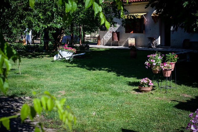 Olympia - Private Half Day Tour With Mini Bus - Cancellation Policy