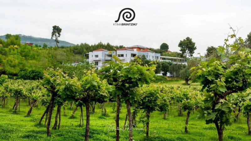 Olympia Treasures: Private Oil, Honey and Wine Tasting Tour - Key points / Takeaways