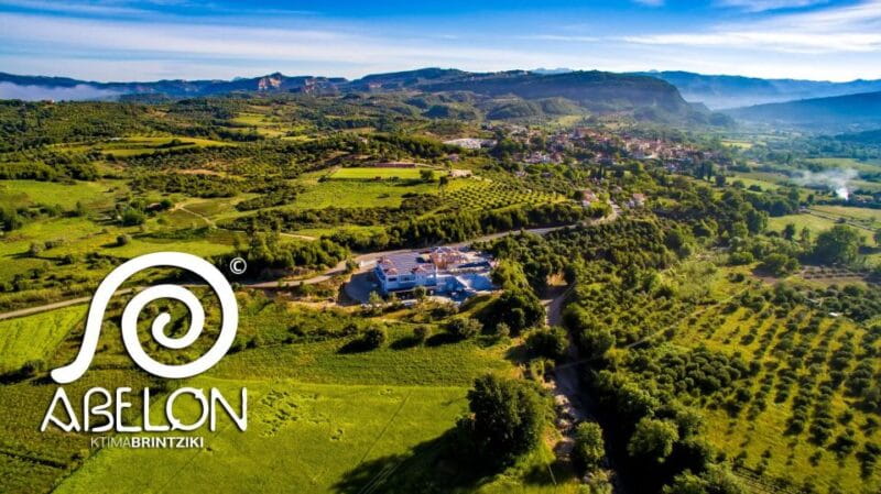 Olympia Treasures: Private Oil, Honey and Wine Tasting Tour - Savoring Greek Wines at Brintzikis Winery