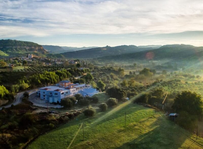 Olympia Treasures: Private Oil, Honey and Wine Tasting Tour - Who Will Love This?