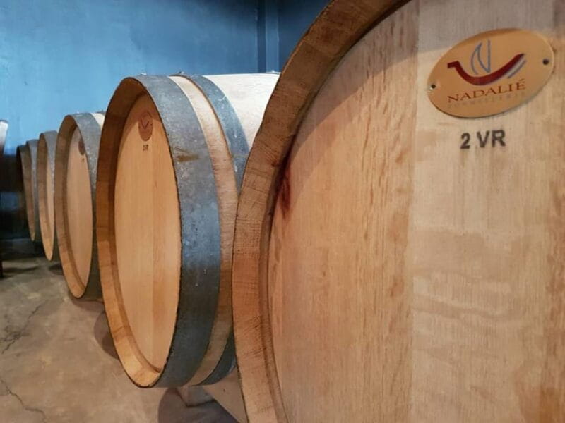 Olympia Treasures: Private Oil, Honey and Wine Tasting Tour - Final Thoughts