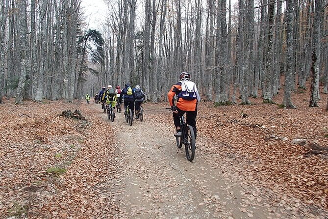 Olympus Mountain Biking - Rides tailored to you - Exploring the Mount Olympus Bike Tour in Detail