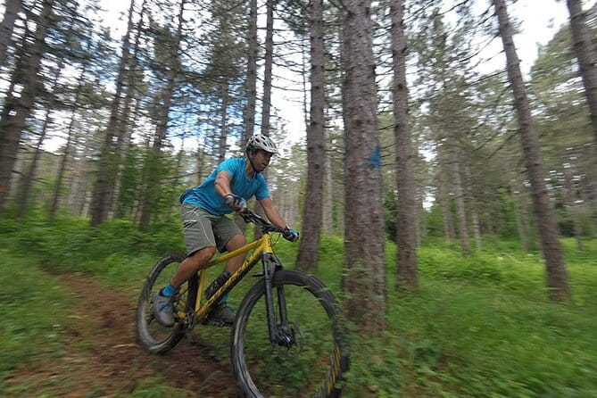 Olympus Mountain Biking - Rides tailored to you - Who This Tour Is Best For