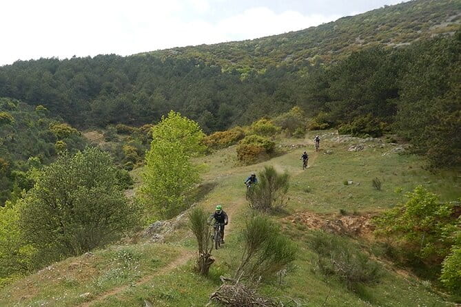 Olympus Mountain Biking - Rides tailored to you - Final Thoughts