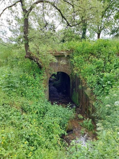 On the Tracks of Memory: The Railway History of Vila Real - Who Will Love This Tour?