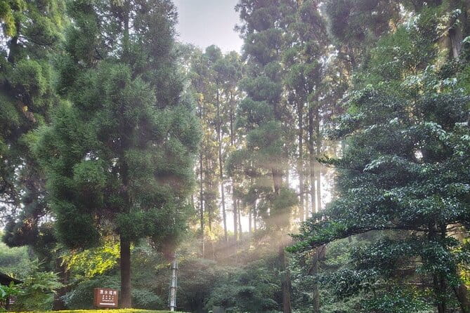 One-Day Customized Minami-Aso & Takachiho Tour - Traveler Reviews