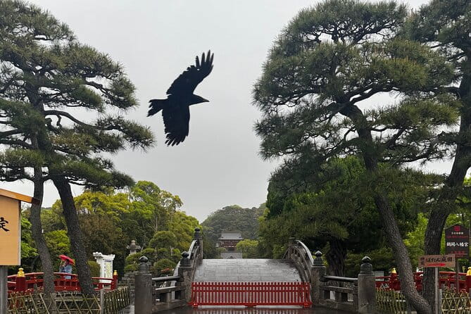 One Day Fully Customize the Tour for Kamakura and Yokohama - Enjoy Delicious Meals Throughout the Day