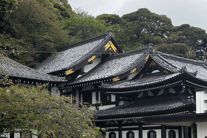 One Day Fully Customize the Tour for Kamakura and Yokohama - Accessibility Features for All Travelers