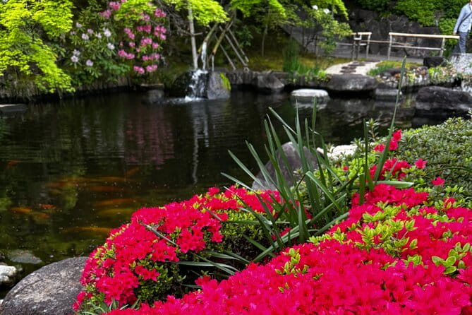 One Day Fully Customize the Tour for Kamakura and Yokohama - How to Book Your Custom Tour