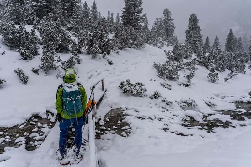 One day hike with snowshoes to discover Dolomites - Final Thoughts: Is It Worth It?