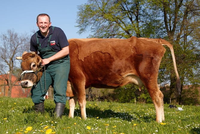 One day in the polish countryside- private tour from Krakow - Discovering the Polish Countryside: A Private Day Tour from Krakow