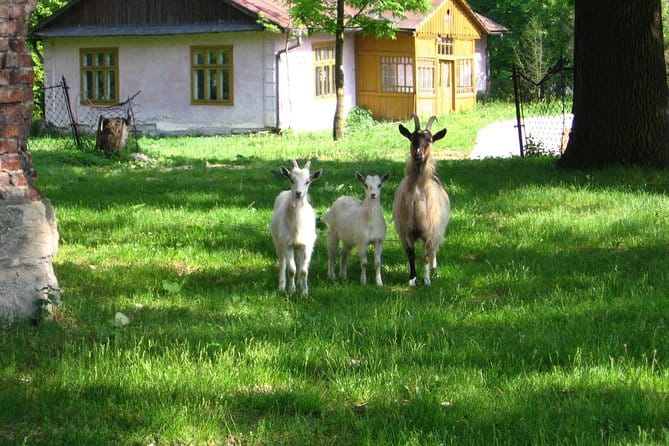 One day in the polish countryside- private tour from Krakow - Key Points / Takeaways