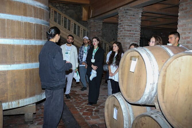 One Day Kakheti Tour with Wine Tasting and Free Churchkhela - Who Will Love This Tour?