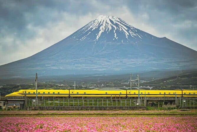 One Day Mountain Fuji & Hakone Tour With English Hindi Bilingual - Cancellation Policy