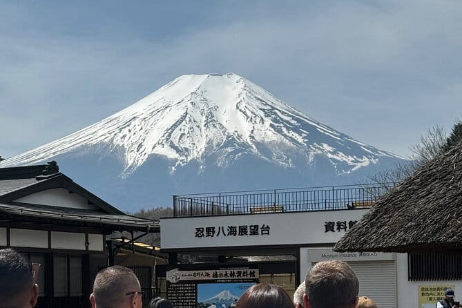 One Day Mountain Fuji & Hakone Tour With English Hindi Bilingual - Reviews and Feedback