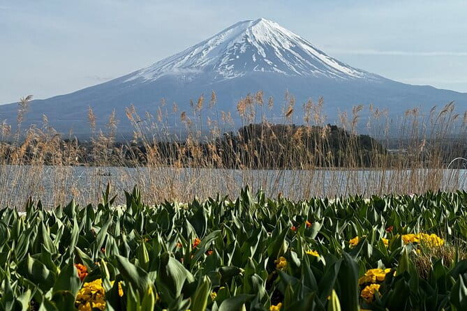 One Day Mountain Fuji & Hakone Tour With English Hindi Bilingual - Additional Information