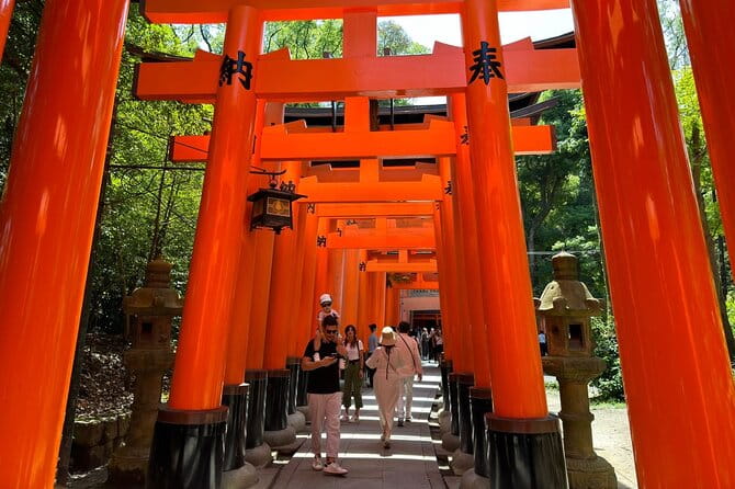 One Day Private Tour in Kyoto and Nara From Osaka - Accessibility and Participation