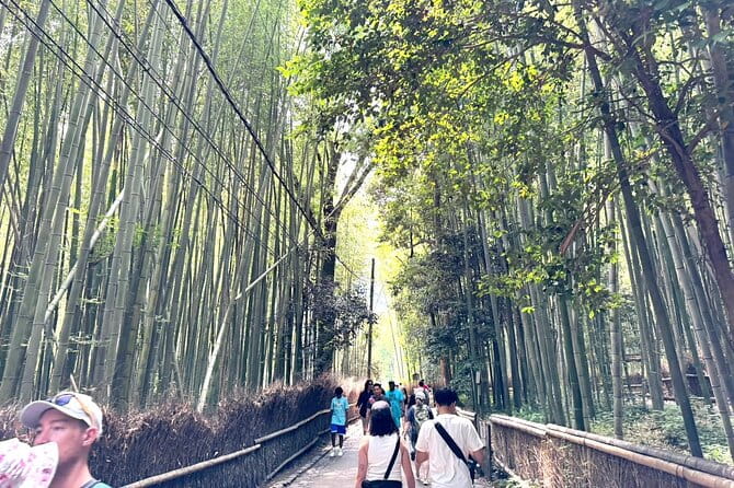 One Day Private Tour in Kyoto and Nara From Osaka - Reviews and Ratings