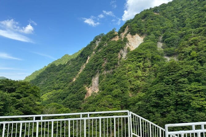 One Day Private Tour in Nikko From Tokyo - Reviews and Traveler Feedback