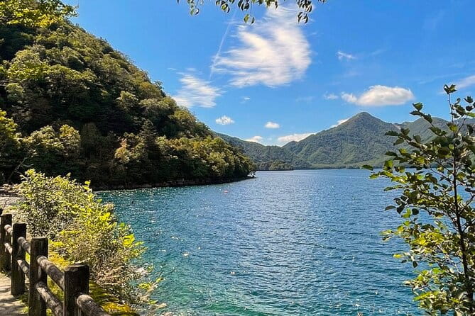 One Day Private Tour Nikko Tochigi by Car - Accessibility Features