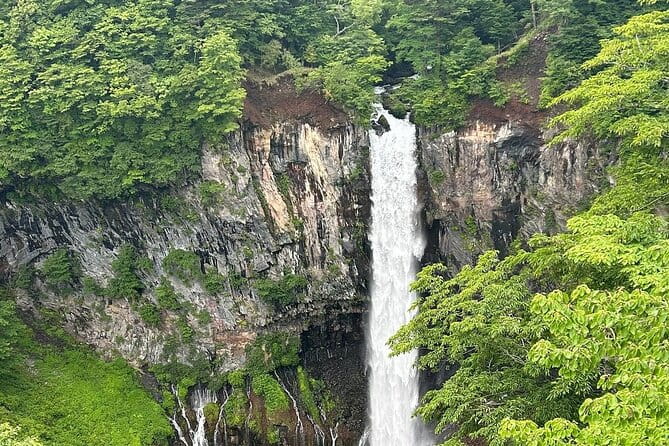 One Day Private Tour Nikko Tochigi by Car - Booking and Cancellation Policy