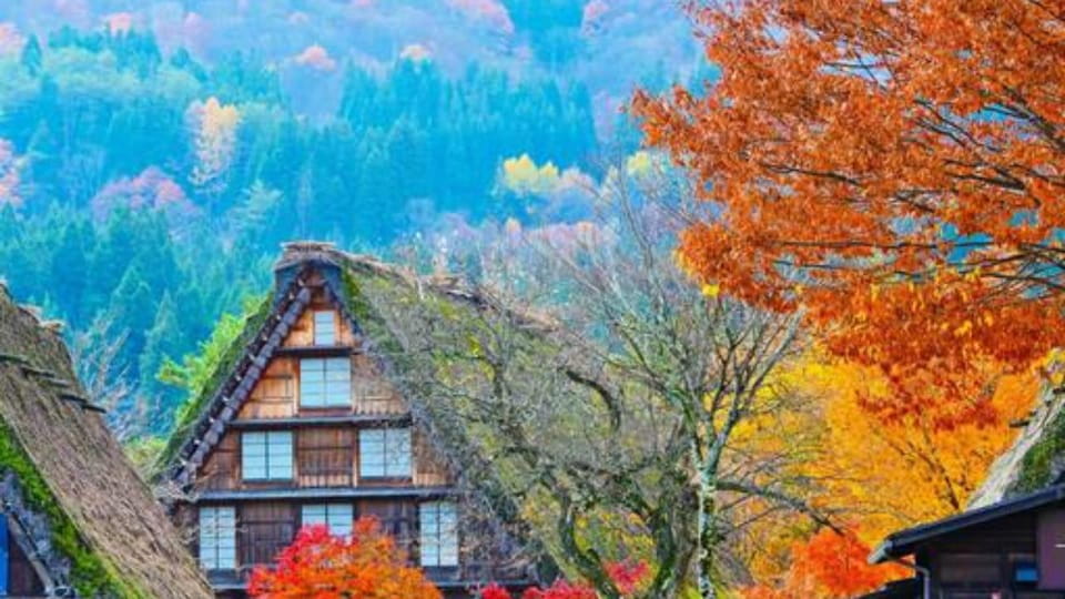 One Day Private Tour to Shirakawa-go & Takayama - Experience Highlights