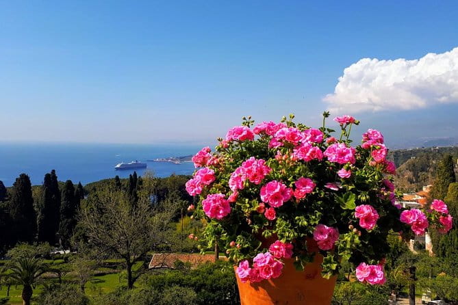 One Day Sicily Tour fom Malta - Mount Etna: Natures Fiery Power