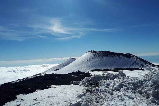 One Day Sicily Tour fom Malta - Final Stop: Pozzallo and Return to Malta