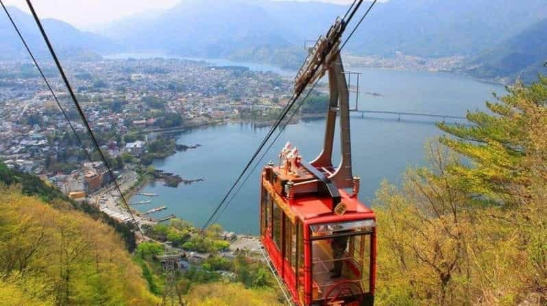 One Day Tour in Mount Fuji Review - Fruit Picking Experience